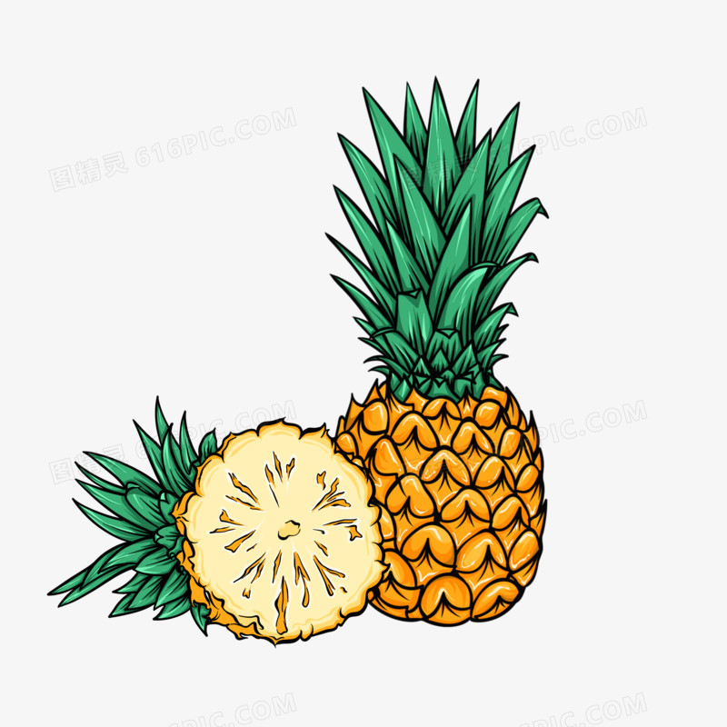 卡通线描水果菠萝素材