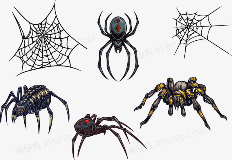 蜘蛛和蜘蛛网设计矢量图