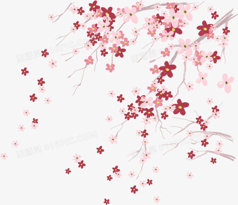 梅花树