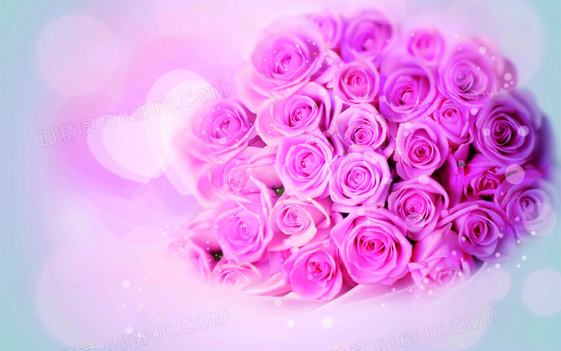 深粉色玫瑰花束海报背景七夕情人节