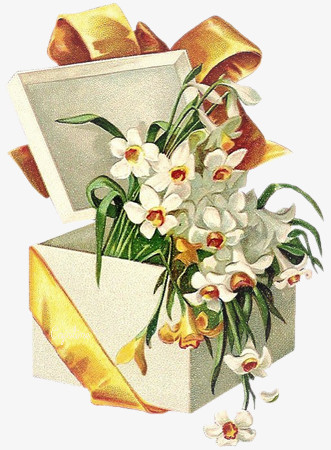 礼品盒白色花朵手绘