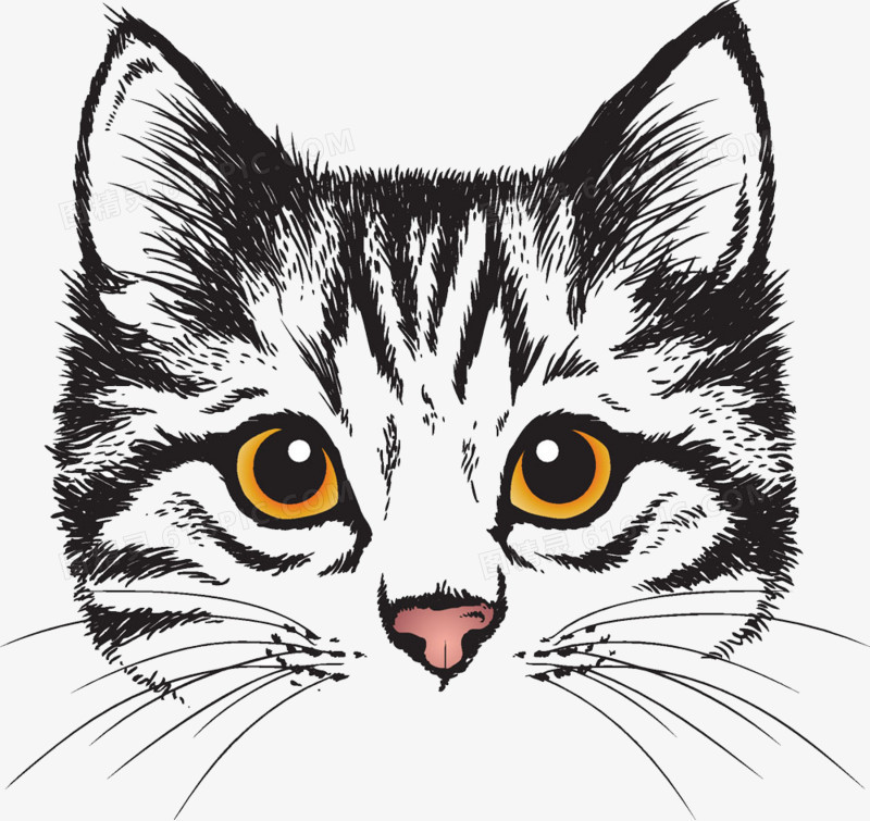 不可商用i分享者:冯彦霞猫头天猫头可爱的表情卡通猫头可爱的边框