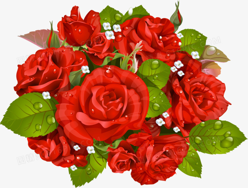 带水珠的红色玫瑰花束