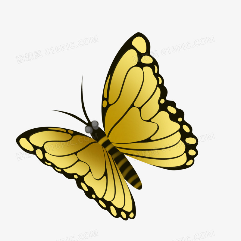 手绘写实黄色蝴蝶元素