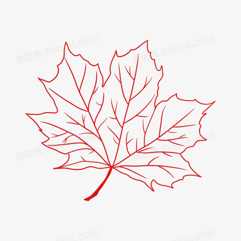 手绘线描红色的枫叶素材