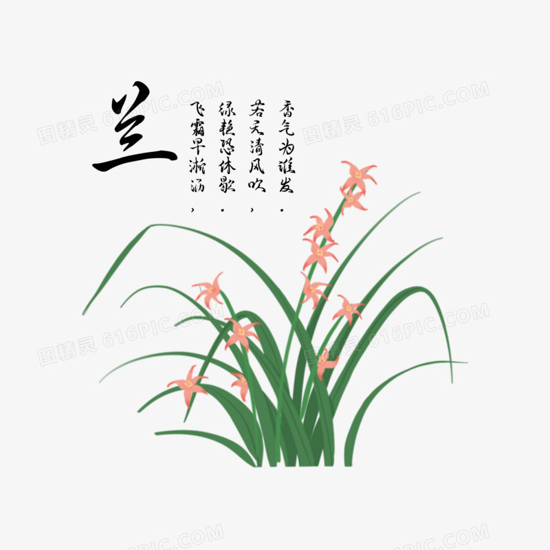 手绘梅兰竹菊花卉之兰花元素