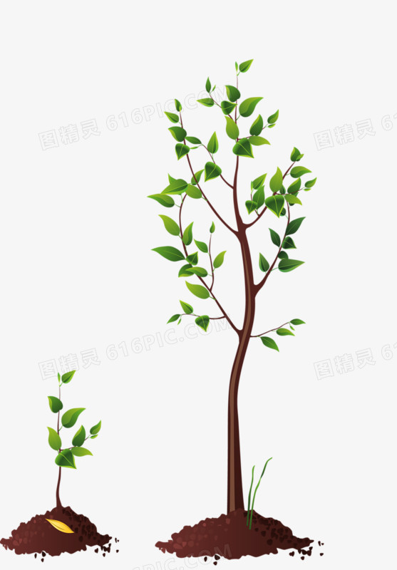 关键词:创意卡通手绘大树小树树苗图精灵为您提供大树和小树免费下载