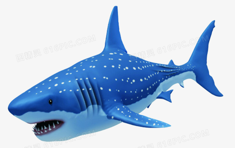 关键词:              蓝色3d立体大鲨鱼