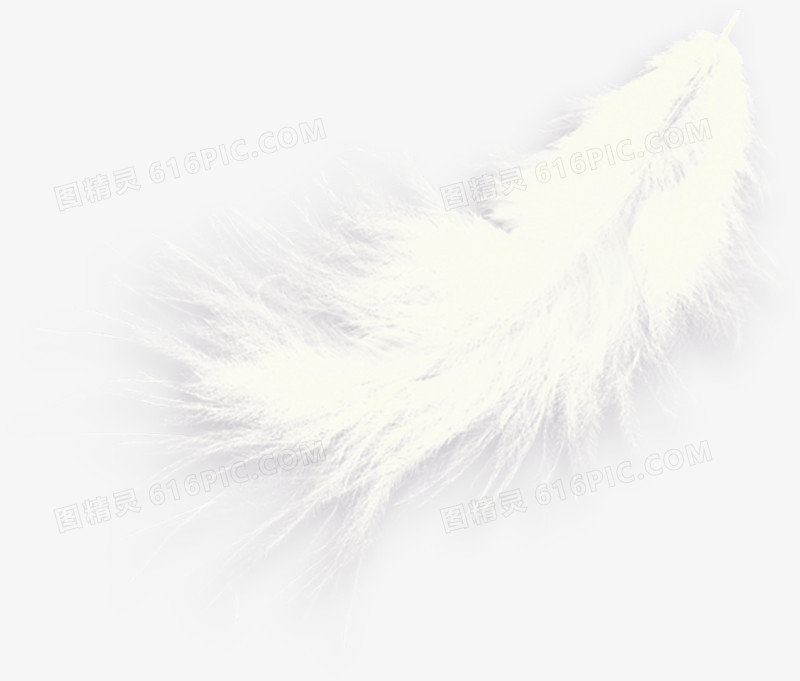 白色毛茸茸的可爱羽毛素材