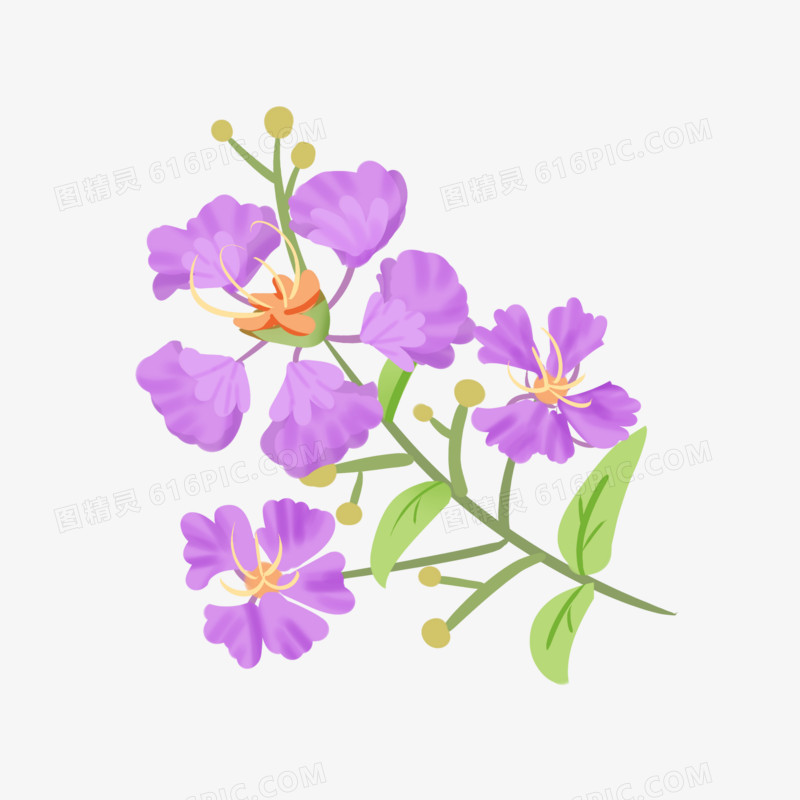 手绘卡通植物紫薇花免抠素材