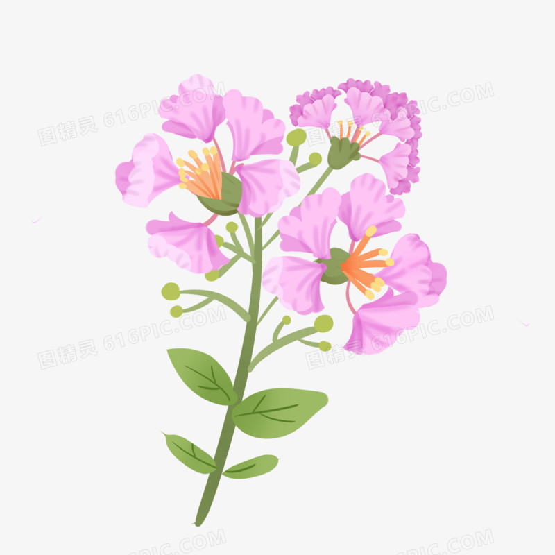 手绘卡通紫薇花植物免抠元素