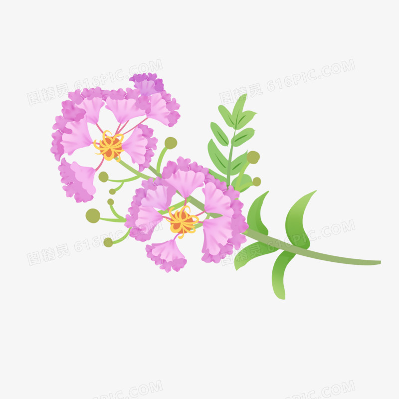 手绘卡通紫薇花朵免抠元素