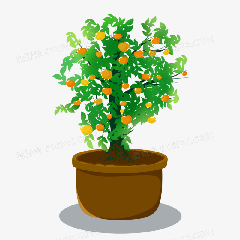 卡通盆栽桔子树素材