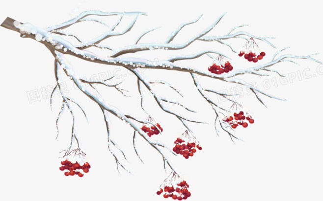 白色的树枝和红色的花
