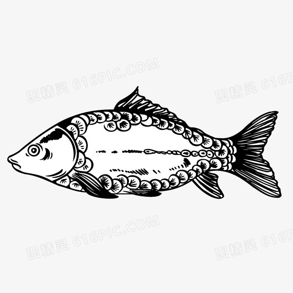 > 手绘 鱼   图精灵为您提供手绘 鱼免费下载,本设计作品为手绘 鱼