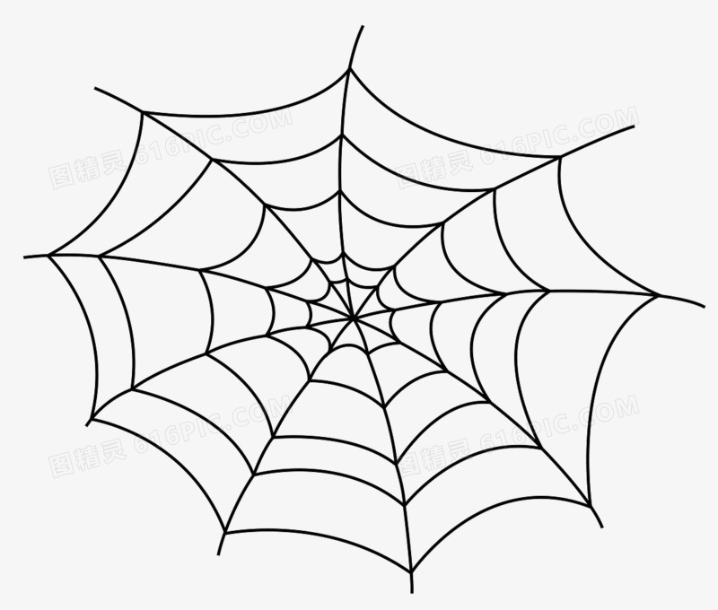 手绘素材素描 蜘蛛网