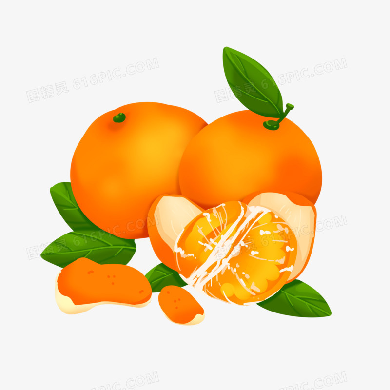 手绘写实砂糖橘剥开的橘子元素