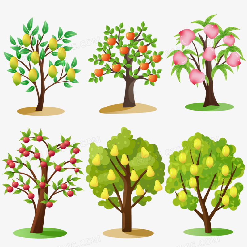 一组手绘不同类型果树套图插画元素
