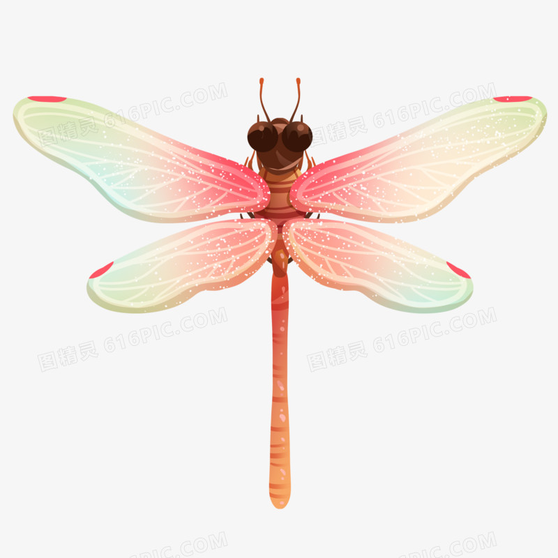 手绘插画风彩色昆虫蜻蜓素材