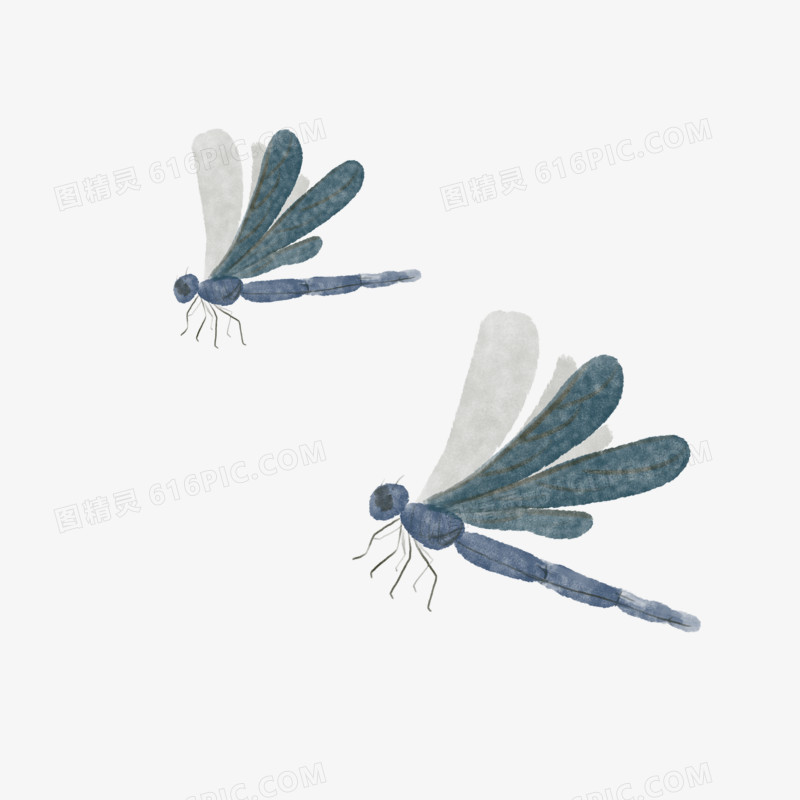 手绘水彩昆虫蜻蜓元素