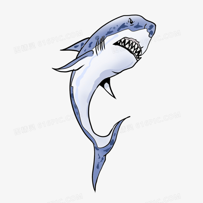 卡通蓝色鲨鱼元素