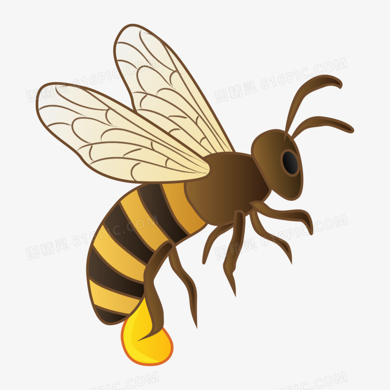 矢量免抠小蜜蜂元素