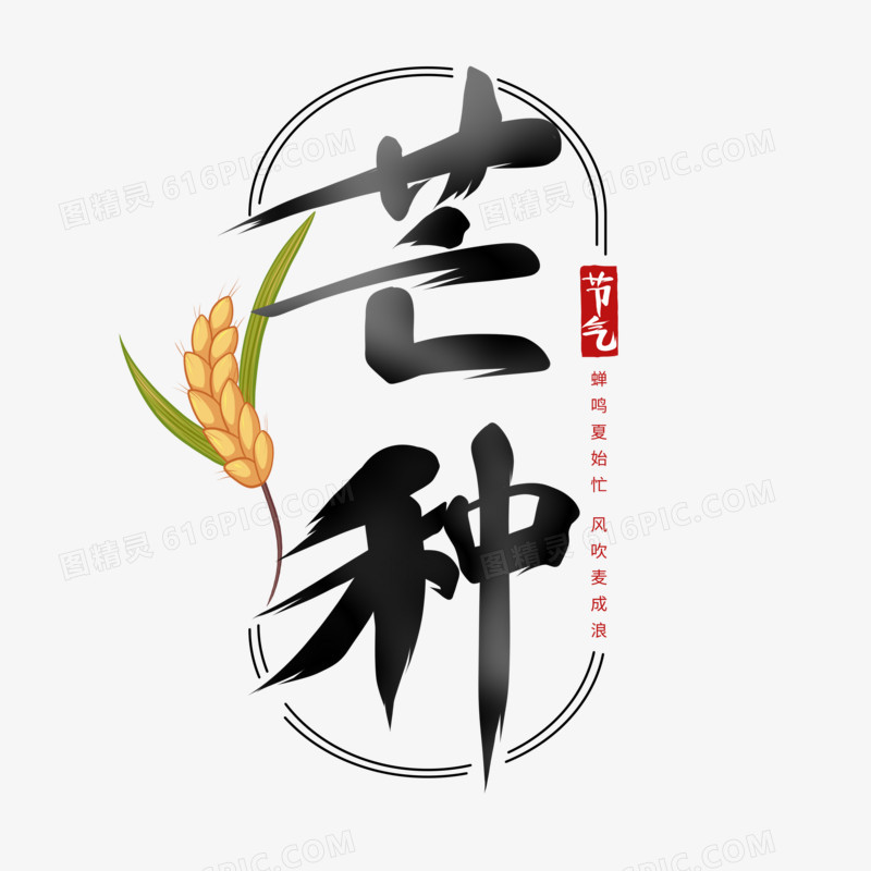 芒种节气书法字设计