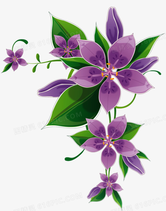 紫色的花图片免费下载 Png素材 编号vo9ixnxgd 图精灵
