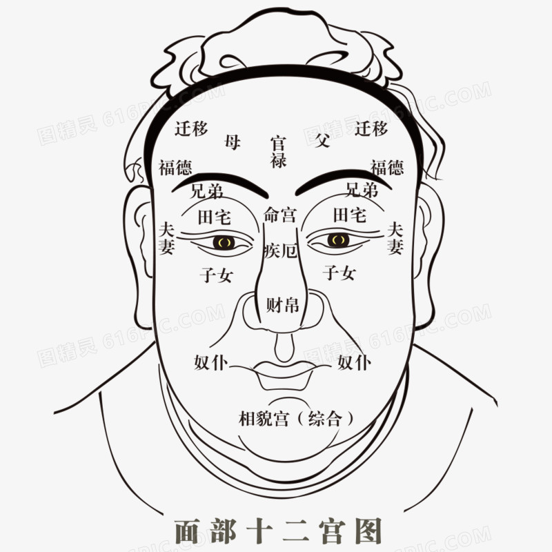 人体穴位