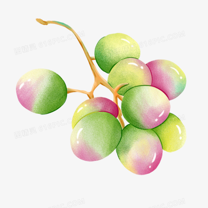卡通手绘植物葡萄元素