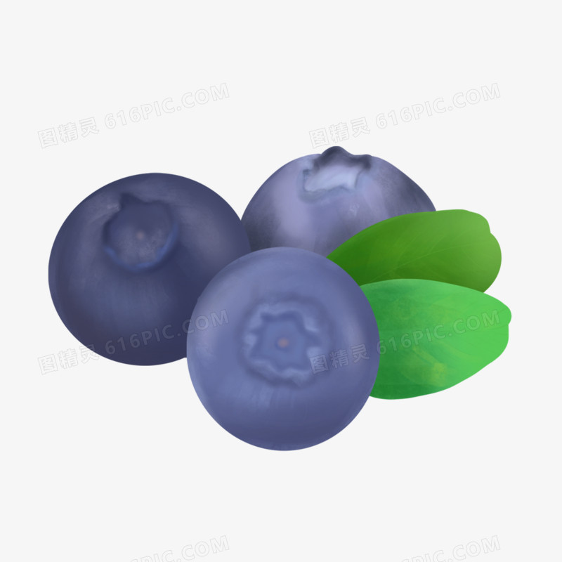  一组手绘写实水果合集之蓝莓元素