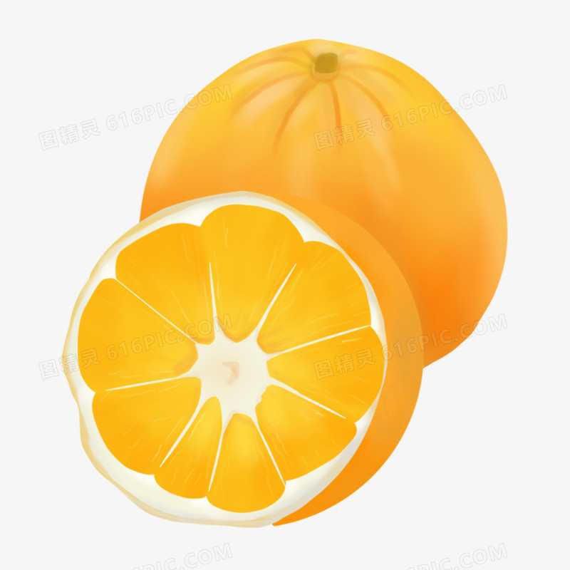  一组手绘写实水果合集之橙子元素