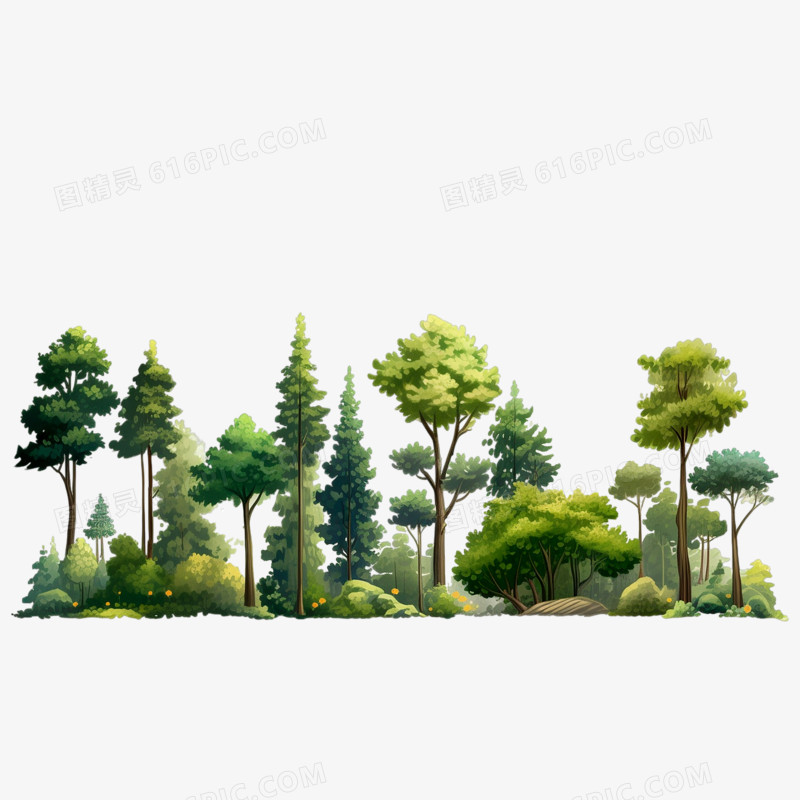手绘树木森林植物元素