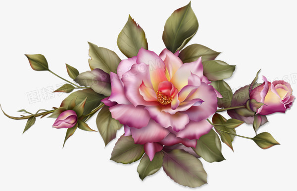 花卉