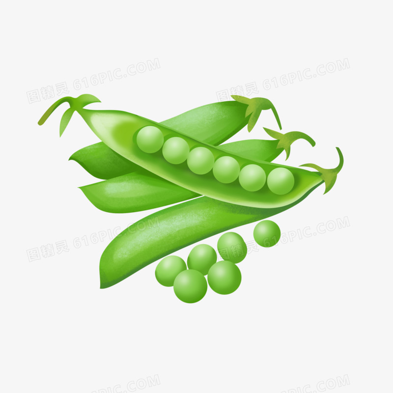 手绘插画风豌豆元素