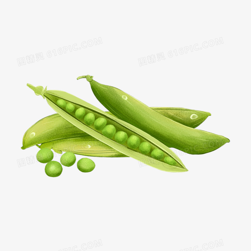 卡通手绘豌豆蔬菜小元素