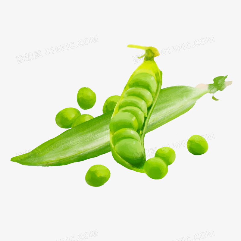 手绘蔬菜豌豆素材