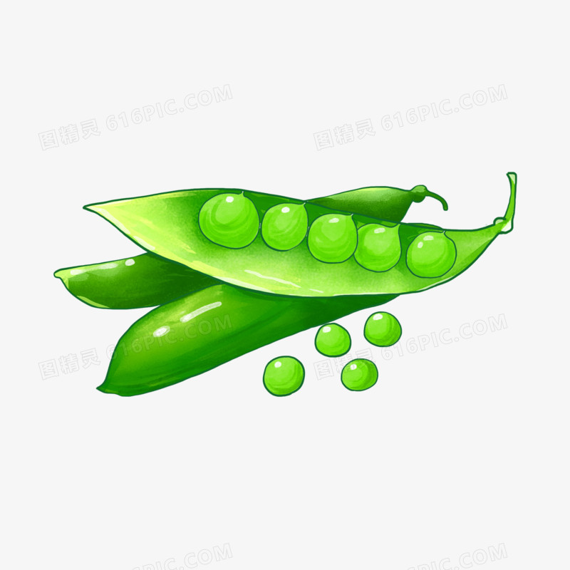 手绘豌豆蔬菜元素