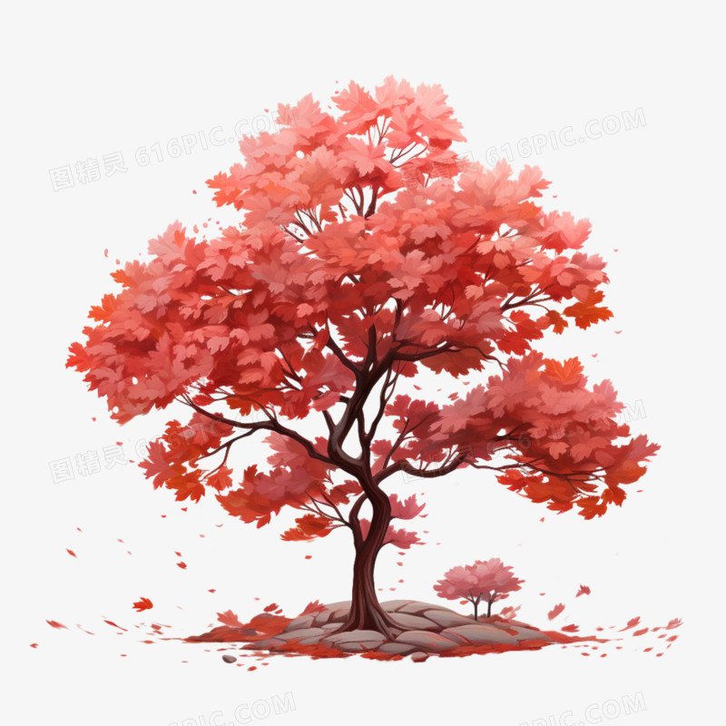 红枫叶秋天红色枫树落叶植物树木元素