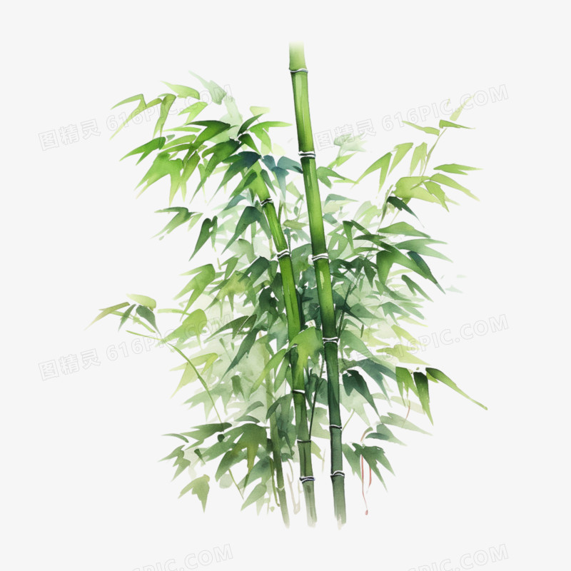 水墨风绿色竹子竹叶元素