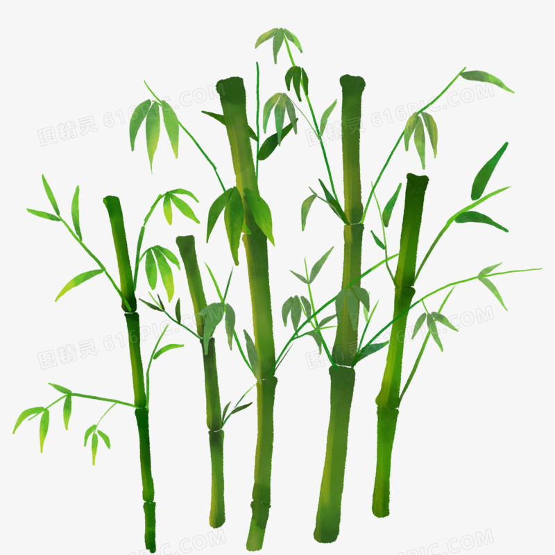 手绘绿色水彩竹子免抠素材