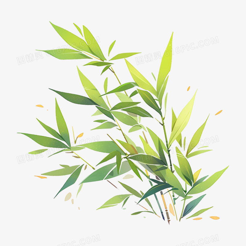 绿色竹子植物插画