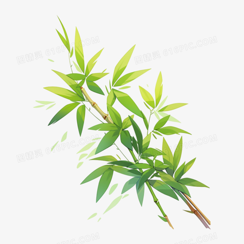 绿色竹子植物插画