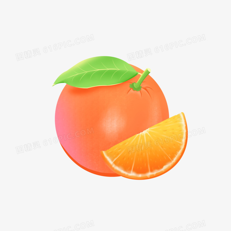 手绘插画风秋天水果之柑橘免抠元素