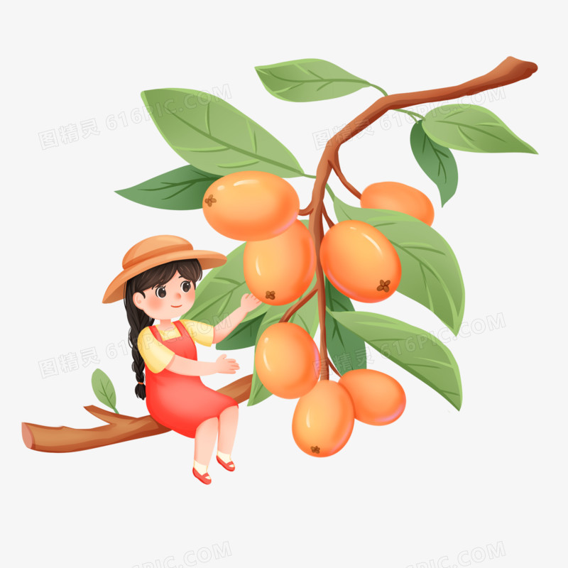 手绘插画秋季水果女孩摘枇杷微景观免抠素材
