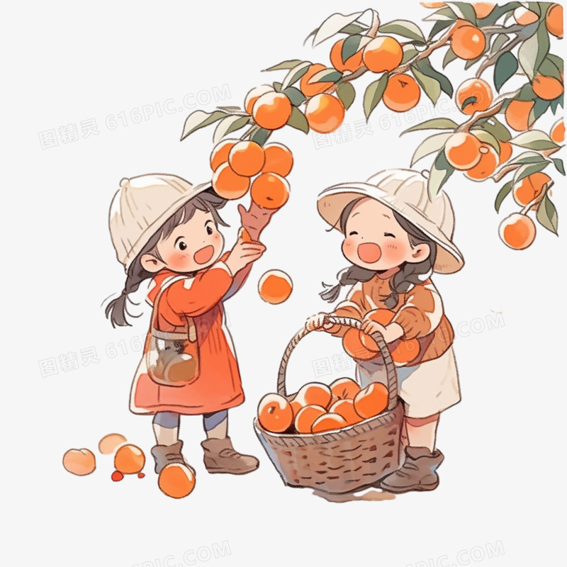 可爱小女孩摘柿子卡通插画