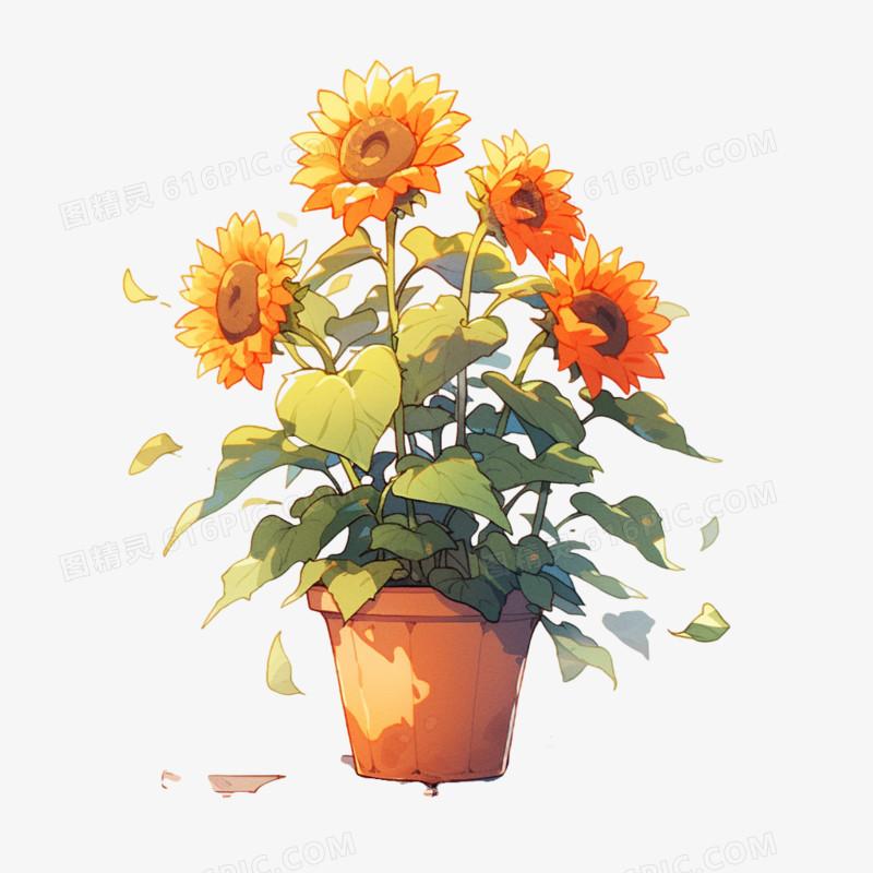插画风向日葵盆栽元素