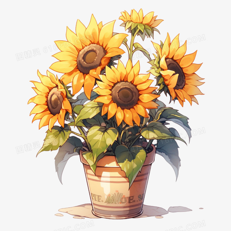 插画风向日葵盆栽元素