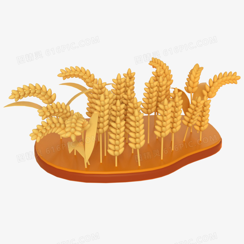 C4D金色秋天麦子丰收3d元素