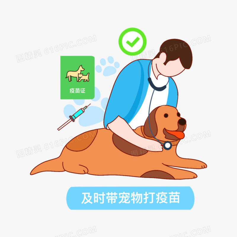 一组狂犬病防治措施套图素材五